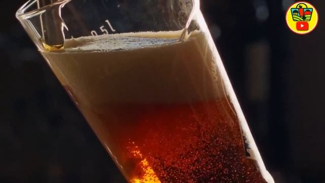 Рассада Будет Толстым Крепышом! ПОДКОРМКА РАССАДЫ! смотреть онлайн