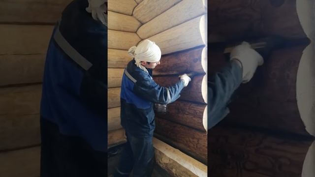 Отделка домов из рубленного бревна. Покраска сруба маслом biofa смотреть онлайн