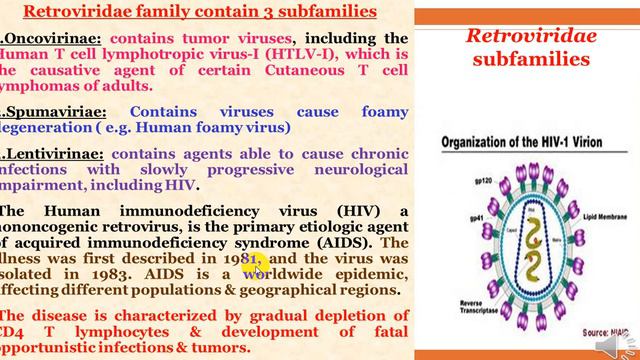 Virology: Togaviruses (Lec7) смотреть онлайн