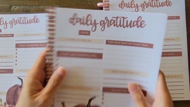 Setting Up for the Holidays | Halloween, Thanksgiving, Christmas Planner | Happy Planner Transforme смотреть онлайн