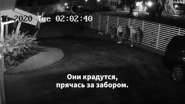 Дети не Знали, что Попали на Видео Родители Сразу Узнали о Побеге смотреть онлайн