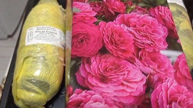 Обзор розочек из коробки от Поиска и Кутепова смотреть онлайн