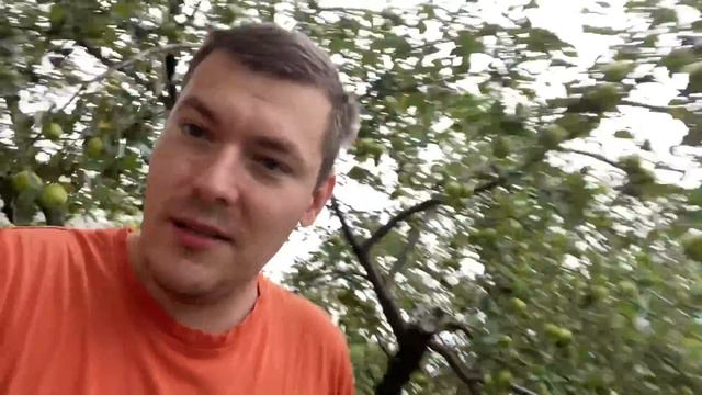 21 Августа Винницкая область. Очень сложный день смотреть онлайн