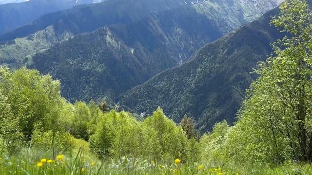 Самая БОЛЬШАЯ ГЭС на Кавказе | СКОЛЬКО стоит аренда авто в ГРУЗИИ | Чуть не ЗАБЛУДИЛИСЬ в горах смотреть онлайн