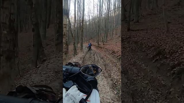 Linhai 300 осінні покатухи !!! смотреть онлайн