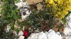 Рокарий пошагово