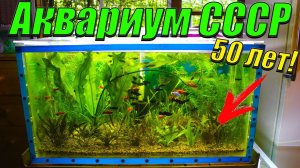 Мои аквариумы СССР, которым 50 лет!