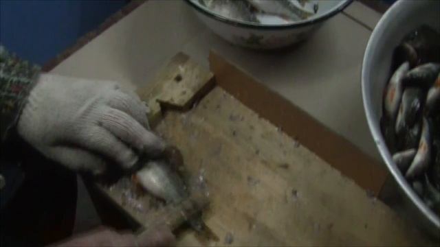 Как быстро почистить и выпотрошить окуня без ножа. смотреть онлайн