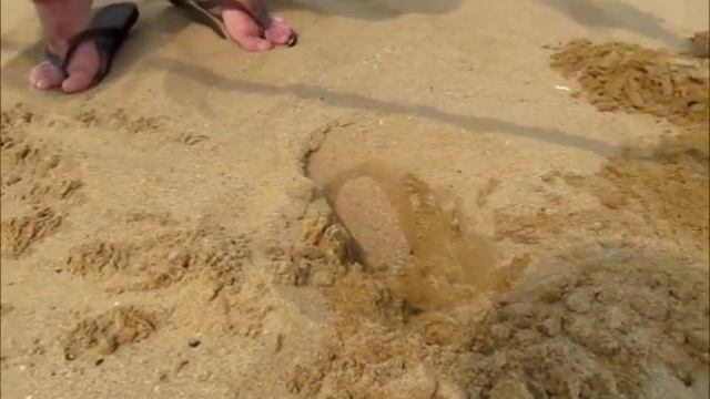 fisher gold bug metal detecting the beach fulong beach Taiwan смотреть онлайн