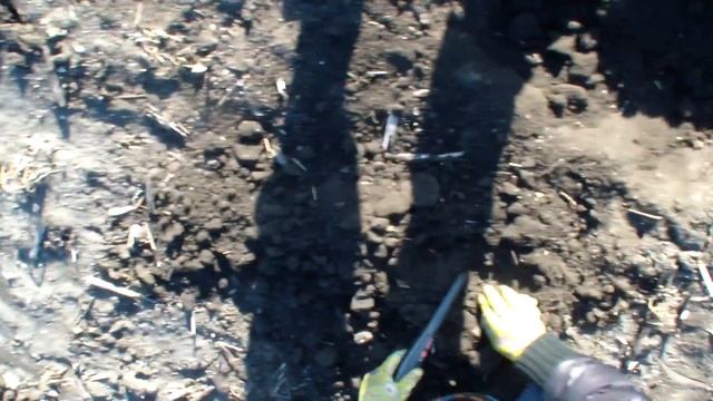 Первый раз вышли на поле и сразу наткнулись на серебро. смотреть онлайн