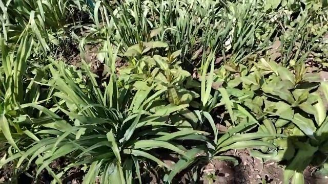 Уходные мероприятия. смотреть онлайн