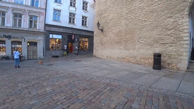 Прогулка по Старому Таллину. Walking tour of Old Tallinn. смотреть онлайн