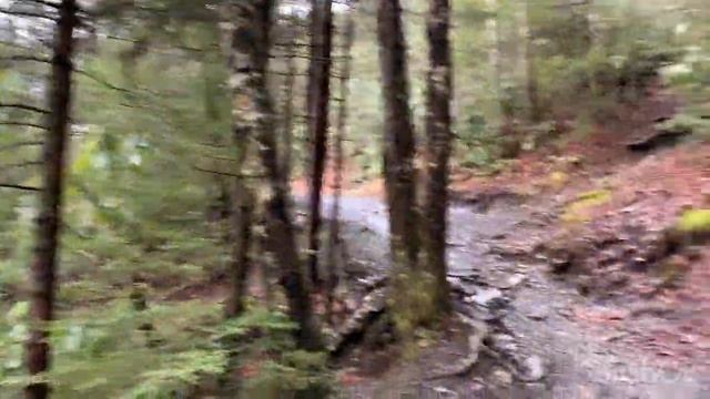 Поэзия Звуков