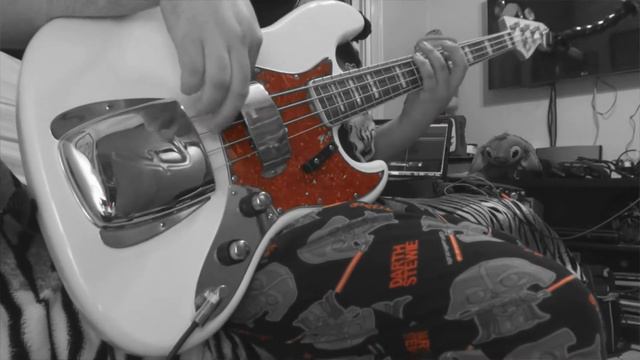 RHCP - Dani California [Bass Cover] смотреть онлайн