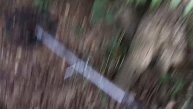 How to Metal Detect in the Woods with the Bounty Hunter Tracker IV смотреть онлайн