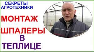 Шпалера в теплице. Личный опыт и вынужденная реконструкция.
