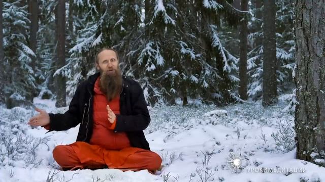 Три вида разума во Вселенной Как появляется свобода выбора Философия йоги Сутры №18, 19, 20 смотреть онлайн