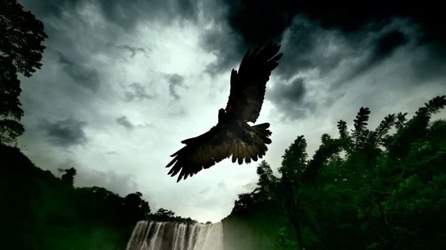 Frank Duval - Help Me