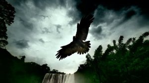 Frank Duval - Help Me