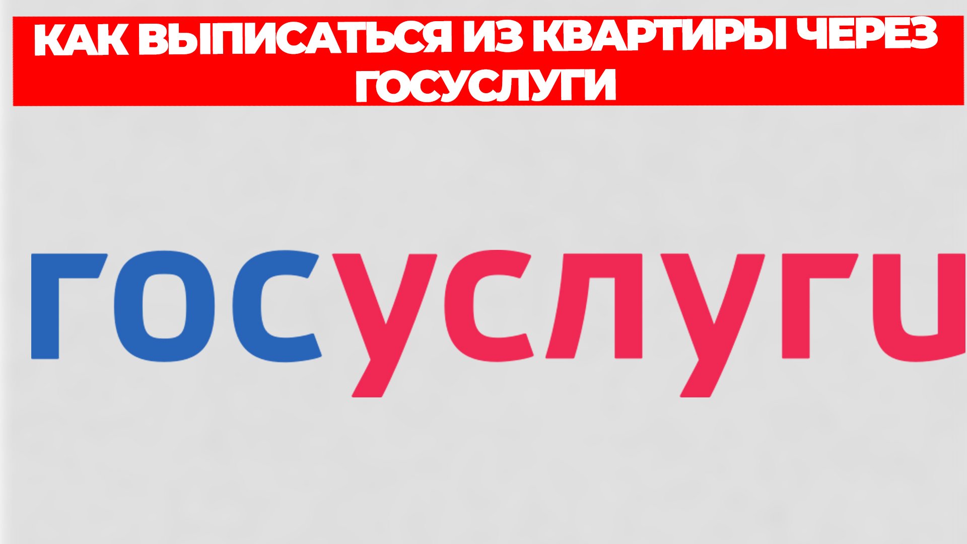 Всезнающий Енот