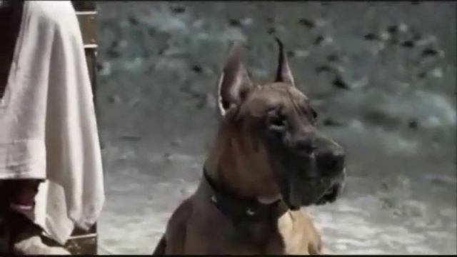 Розенбаум- Мастер и Маргарита смотреть онлайн