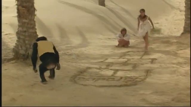 Paradise 1982