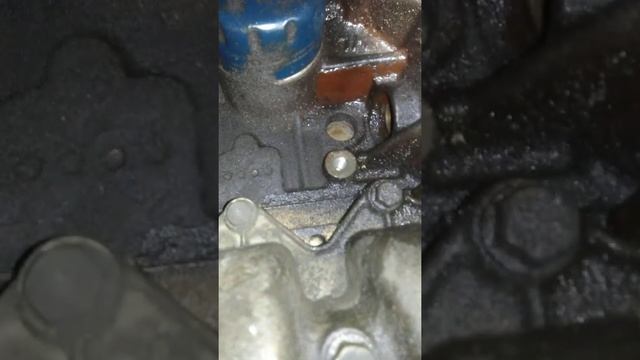 Замена патрубка охлаждающей жидкости. Рено меган 2 1.6 к4м 16 смотреть онлайн