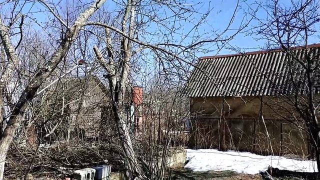 Обрезка старых яблонь смотреть онлайн