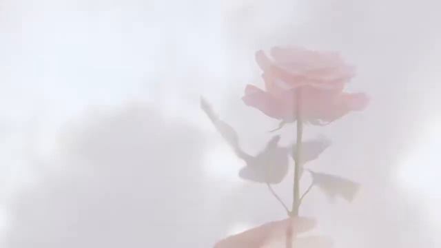 BURBERRY MY BURBERRY BLUSH | feat. Lily James | Commercial ADV "Реклама" смотреть онлайн