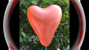 Логопед Брест -  прозрачный красный шарик