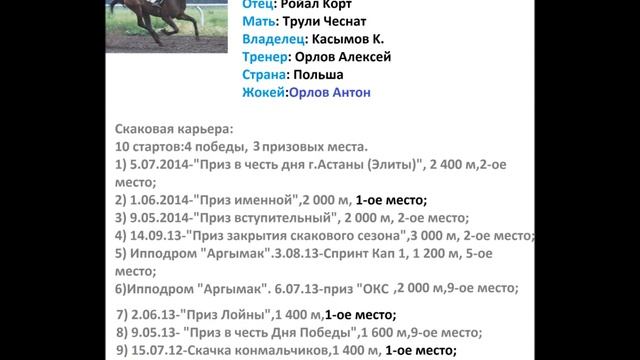 Афиша для скачки на приз "Мисс Казахстан 2014" смотреть онлайн