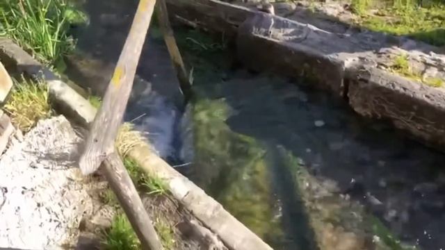 Солнце нас встречает после купания в Купели!!!24.04.2021 смотреть онлайн