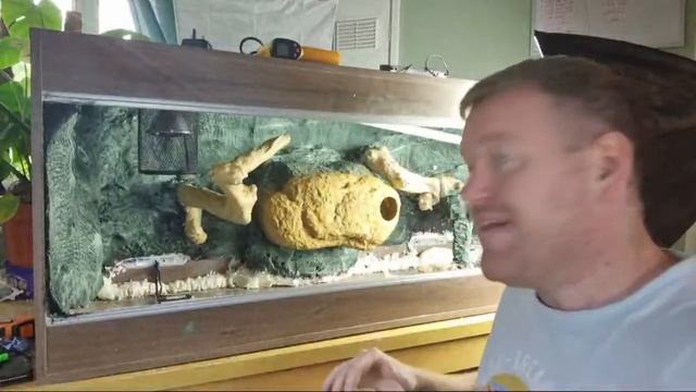 Testing The 5ft Ball Python Setup смотреть онлайн