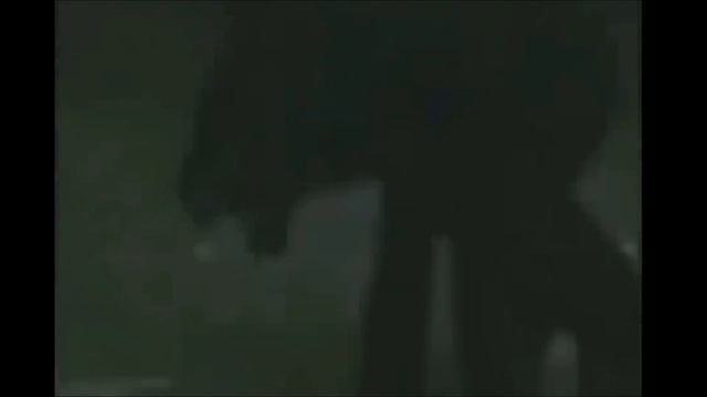 Топ 10 монстров снятых на камеру. Страшные существа снятые на камеру. смотреть онлайн