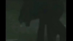 Топ 10 монстров снятых на камеру. Страшные существа снятые на камеру.