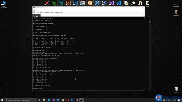 Добавление записей в таблицу (оператор INSERT) в программе MySQL Workbench. смотреть онлайн
