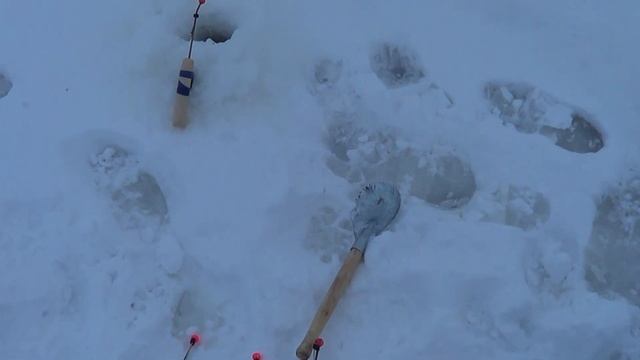Как ловить корюшку на блесну или самодур? Рыбалка на корюшку на Финском Заливе. смотреть онлайн