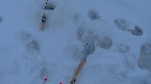 Как ловить корюшку на блесну или самодур? Рыбалка на корюшку на Финском Заливе.