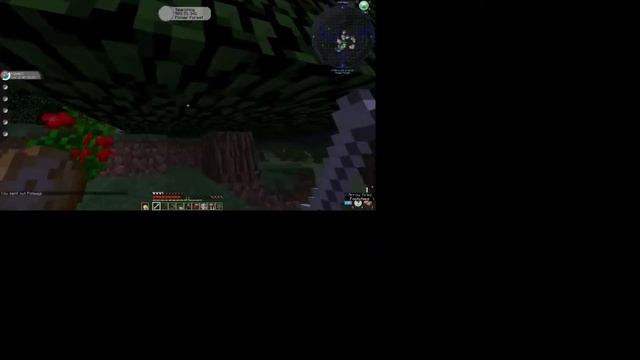 Best Pixelmon Survivor Server Ever! B&E Pixelmon Survivor Server| Minecraft Java Edition| Pokemon смотреть онлайн