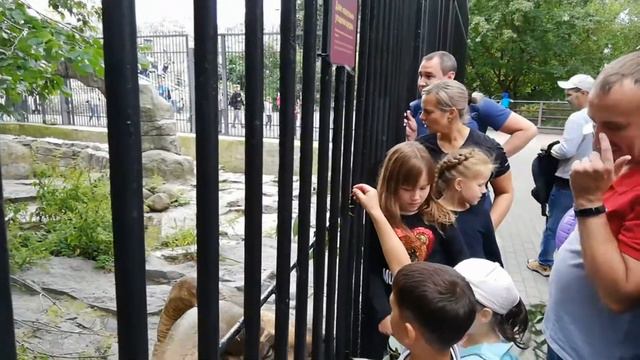 Московский зоопарк смотреть онлайн