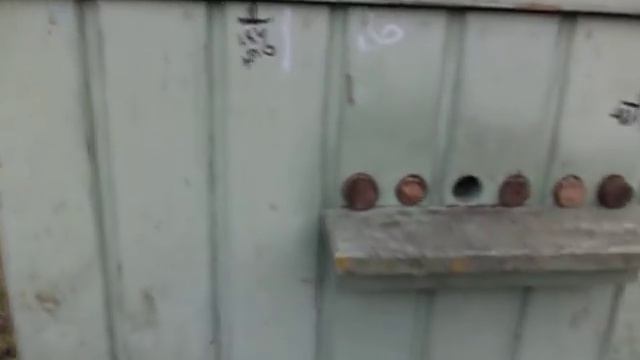 Пасека 02,01,2019 год . Зимний вылет пчел . смотреть онлайн