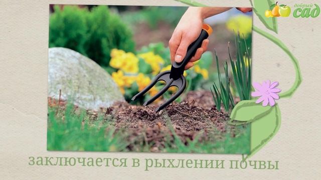 Лайфхаки для Ежедневной Жизни