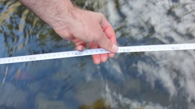 How to Measure a Stream Cross Section смотреть онлайн