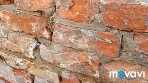 Штукатурим цоколь