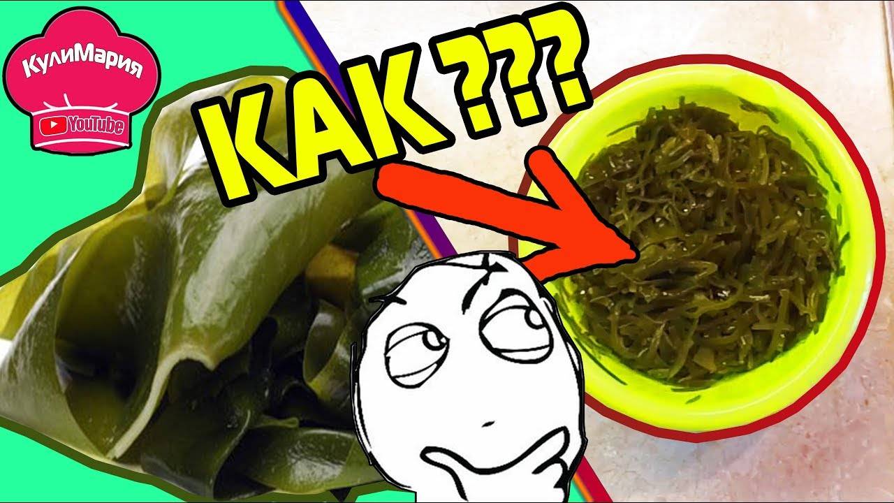 КАК ОТВАРИТЬ МОРСКУЮ КАПУСТУ смотреть онлайн