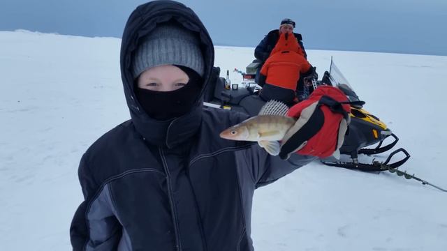 Косьва! смотреть онлайн