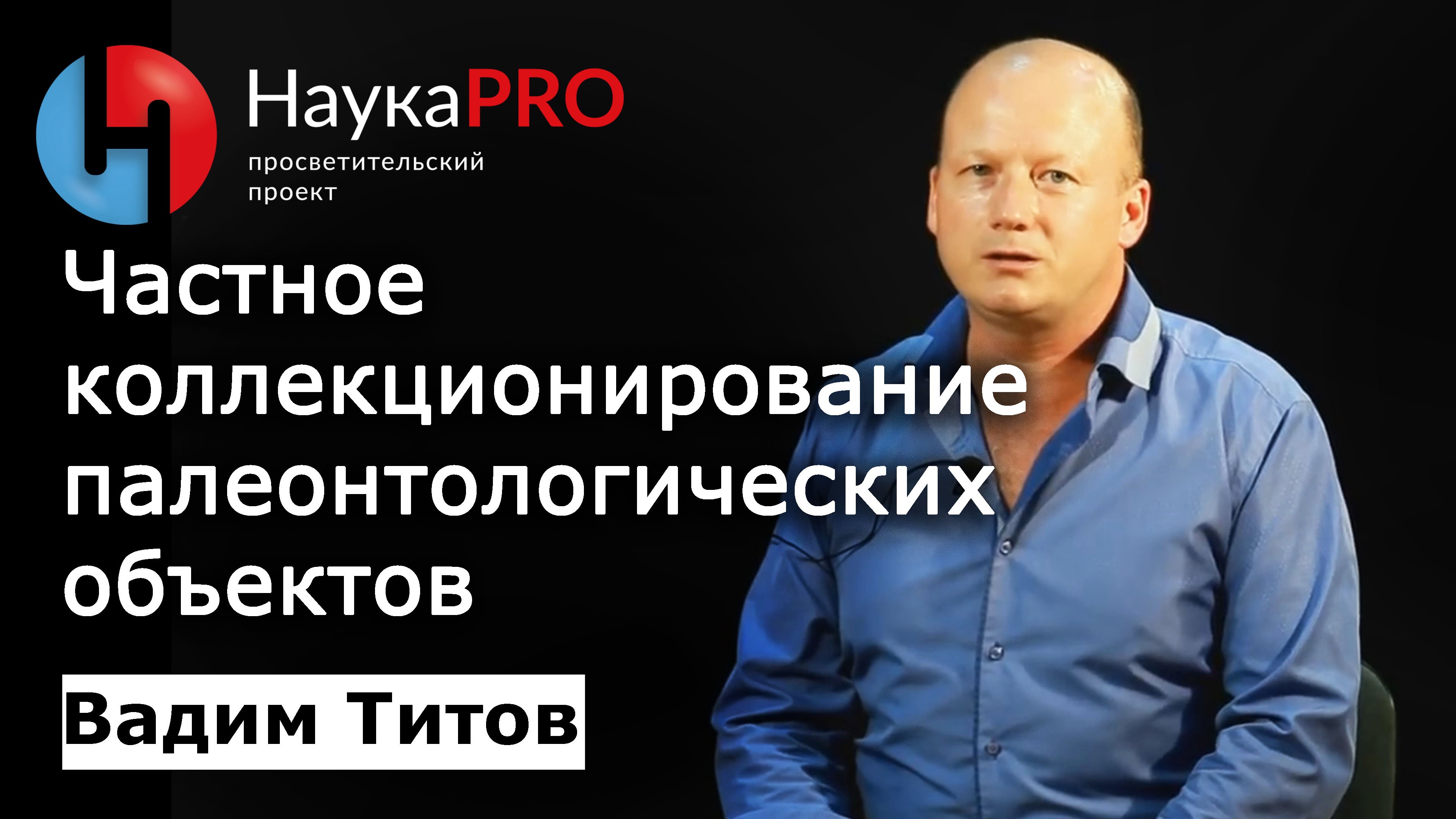 Частные палеонтологические коллекции | Лекции по палеонтологии – палеонтолог Вадим Титов | Научпоп смотреть онлайн