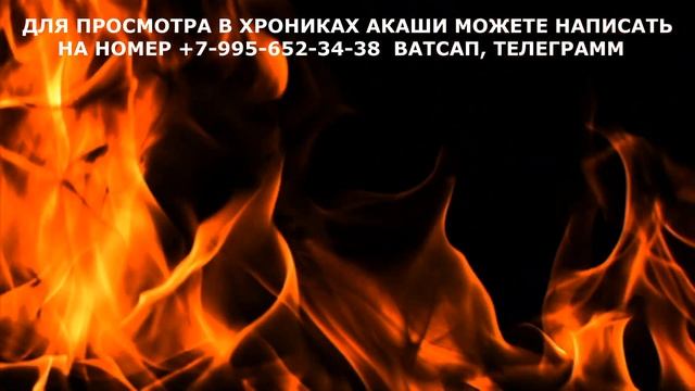 КАРМА. СЕАНС ЧТЕНИЯ ХРОНИК АКАШИ смотреть онлайн
