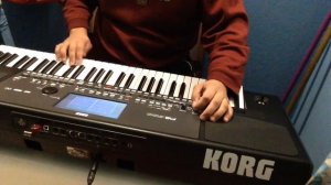 Таш туш 6/8 korg pa600