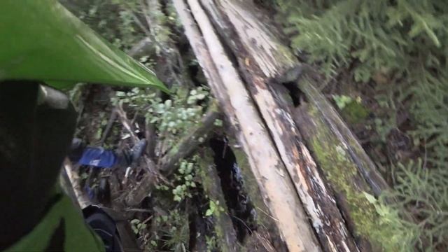 Лесной прохват на ЗИД ZID YX 250 GY-C5C & Motoland XR 250 enduro 2020 смотреть онлайн